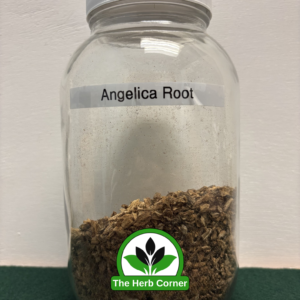 Home angelica root