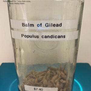 balm of gilead (populus candicans) 7.40