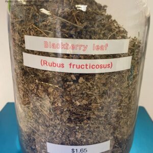 blackberry leaf (rubus fracticosus) 1.65.