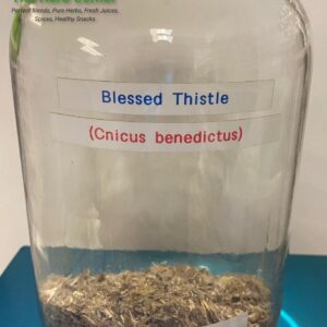 blessed thistle (cnicus benedictus) 1.70
