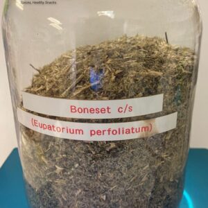 boneset (eupatorium perfoliatum)