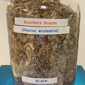 butchers broom (rascus aculeatus) 2.43