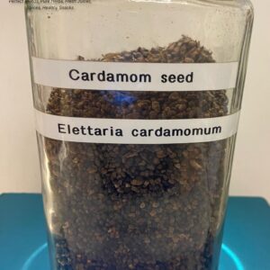 cardamom seed (electtaria cardamomum) 6.19