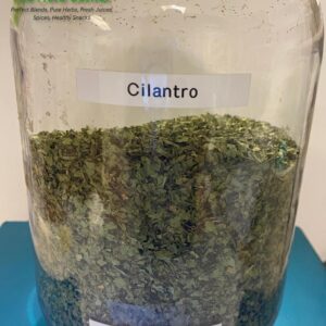 Cilantro (Coriandrum sativum)
