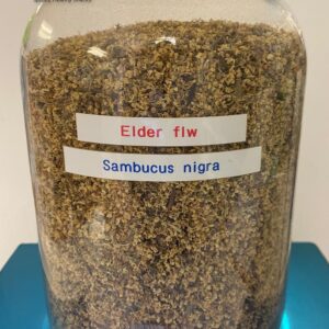 elder flower (sambucus nigra) 2.79