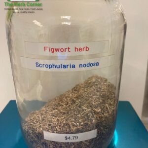 figwort herb (scrophularia nodosa) 4.79