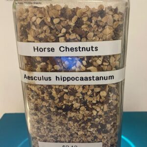 horse chestnuts (aesculus hippocaastanum) 2.13