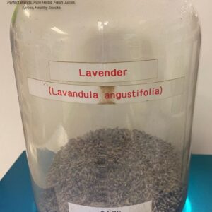 lavender (lavandula angustifolia)