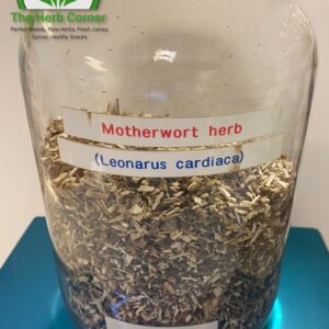motherwort herb (leonarus cardiaca)