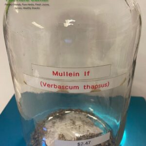 Mullein leaf (Verbascum thapsus)