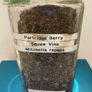 patridge berry (squaw vine) (mitchella repens) 12.27