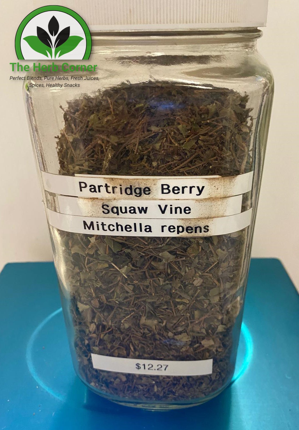patridge berry (squaw vine) (mitchella repens) 12.27 patridge berry (squaw vine) (mitchella repens) 12.27