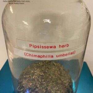 pipsissewa herb (chimaphilla umbellat) 3.12