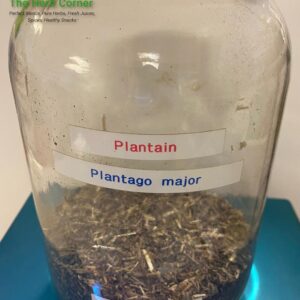 plantain (plantago major) 1.82