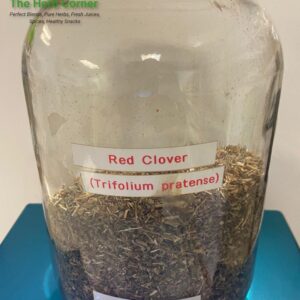 red clover (trifolium pratense) 2.20