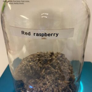 Red Raspberry (Rubus idaeus)
