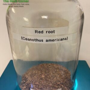red root (ceanothus americana) 3.96
