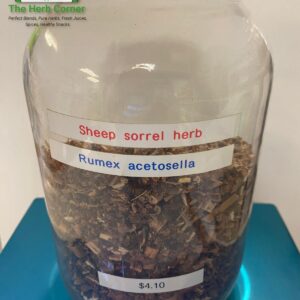 sheep sorrel herb (rumex acetosella) 4.10