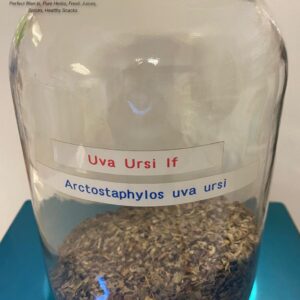 Uva Ursi Leaf (Arctostaphylos uva ursi)