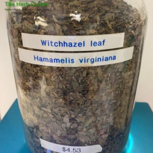 witchhazel leaf (hamamelis virginiana) 4.53