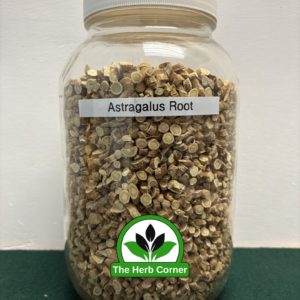 astragalus root