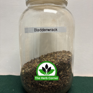 bladderwrack