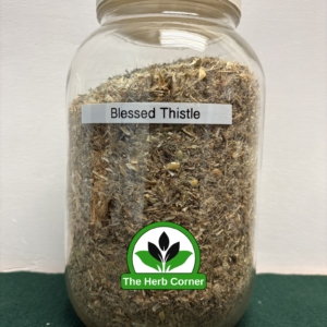 blessed thistle