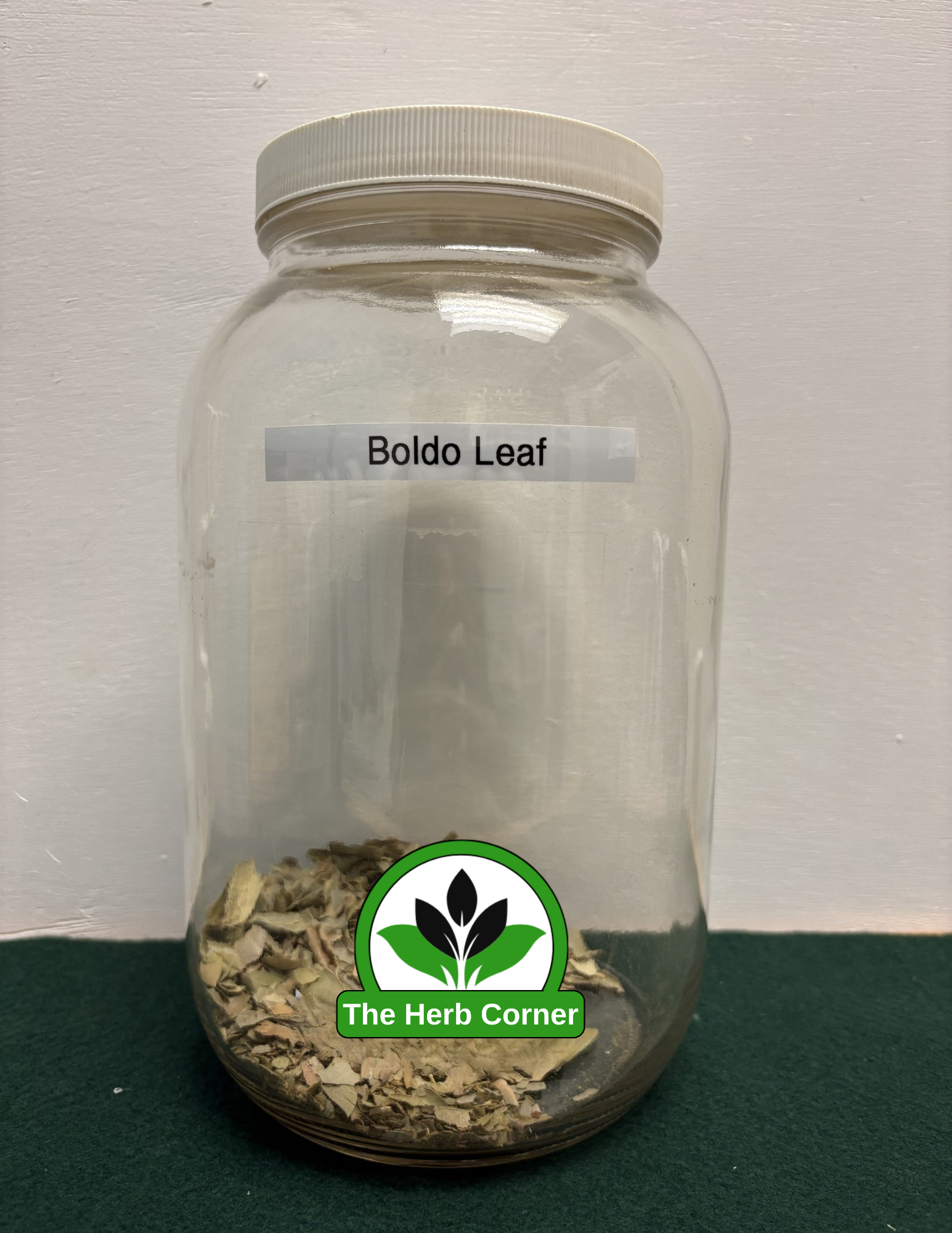 boldo leaf boldo leaf