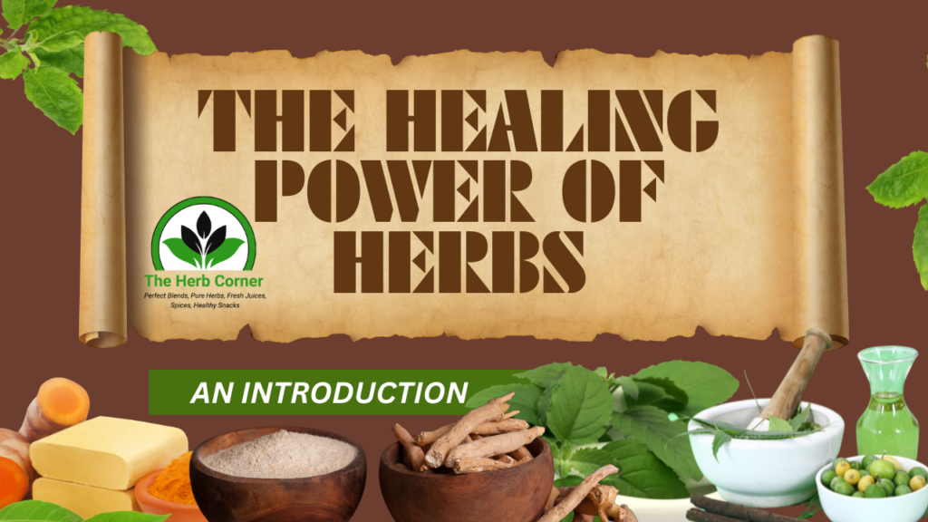 the healing power of Herbs: An Introduction