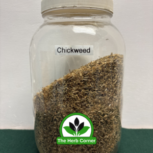 chickweed 1