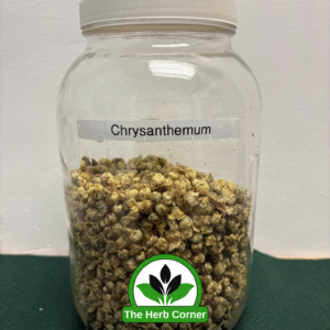 chrysanthemum 1