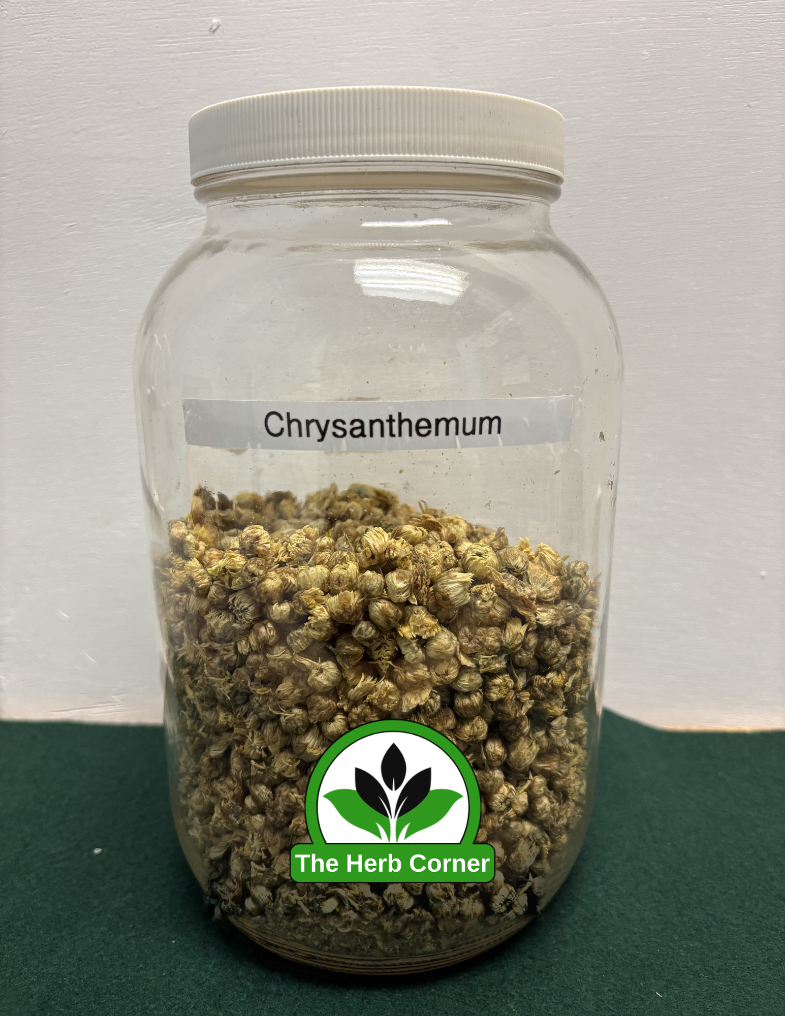 chrysanthemum 1 chrysanthemum 1