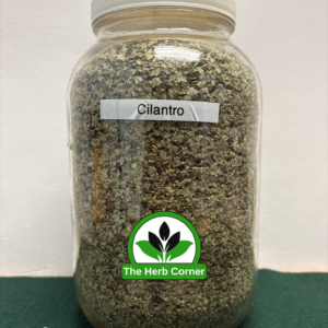 cilantro 1
