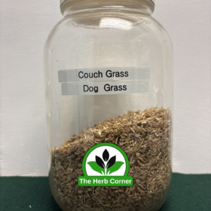 couch grass 1