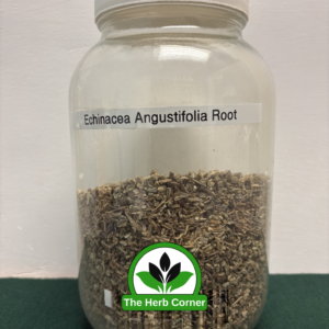 echinacea angustifolia root 1