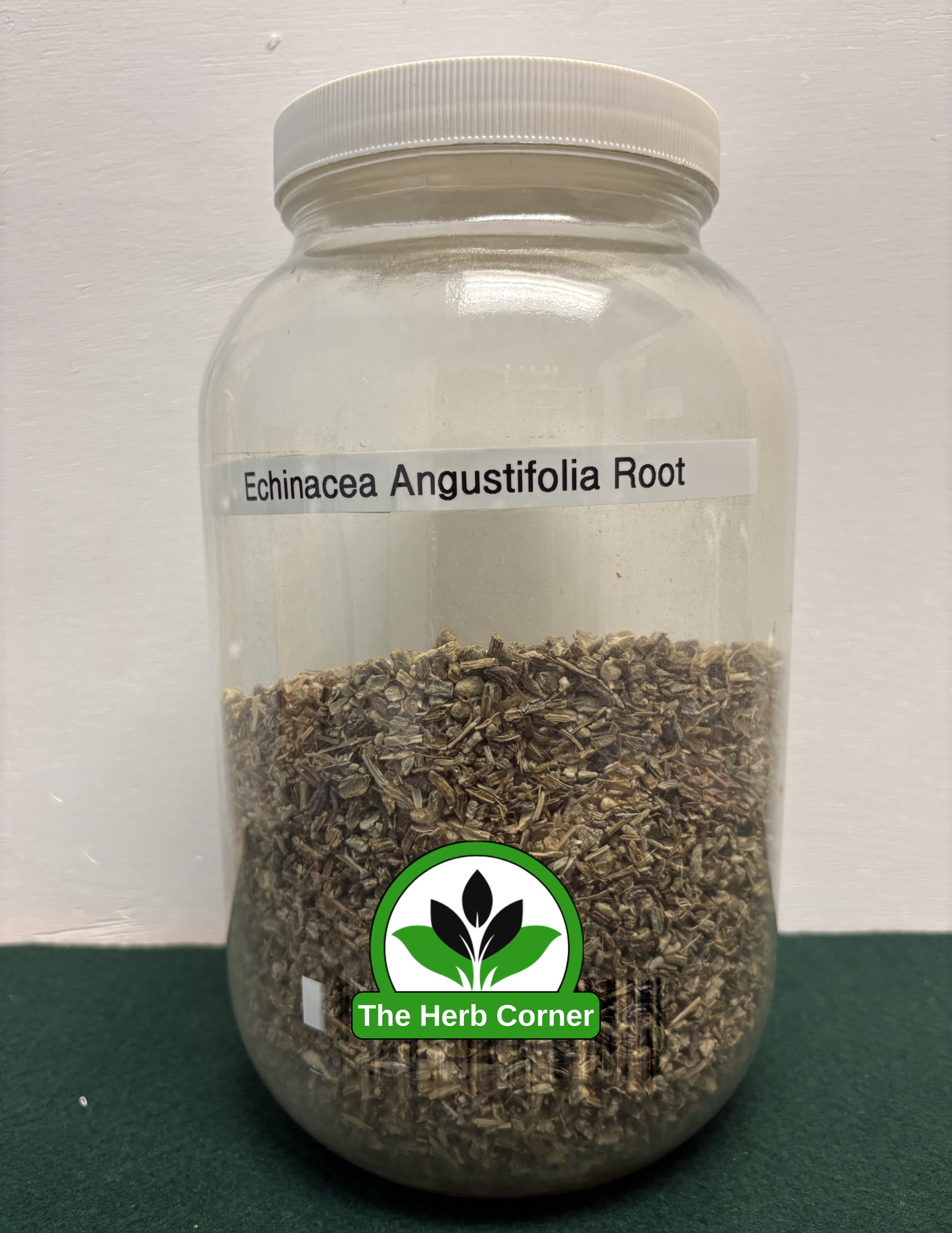 echinacea angustifolia root 1 echinacea angustifolia root 1