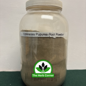 echinacea pupurea root powder 1