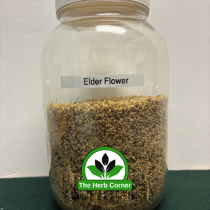 elder flower 1