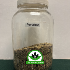 feverfew 1