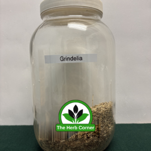 grindelia 1