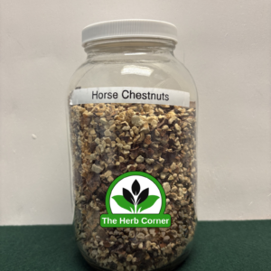 horse chestnuts 1