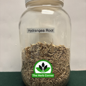 hydrangea root