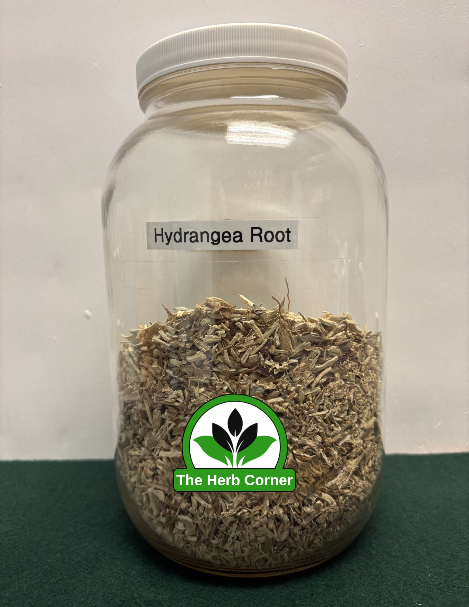 hydrangea root hydrangea root