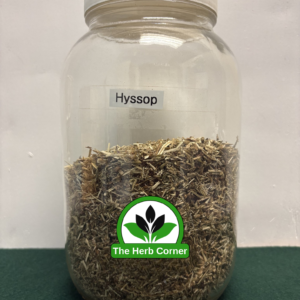 hyssop