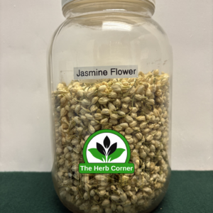 jasmine flower 1