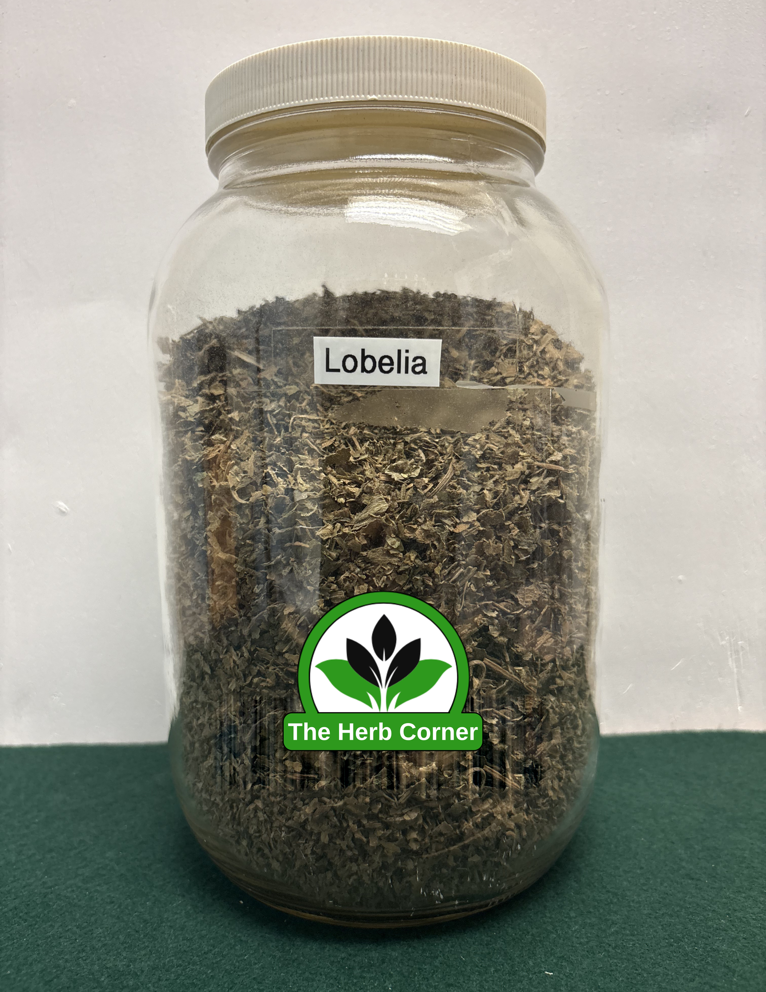 lobelia 1 lobelia 1