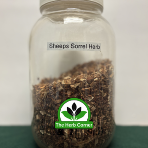 sheeps sorrel herb