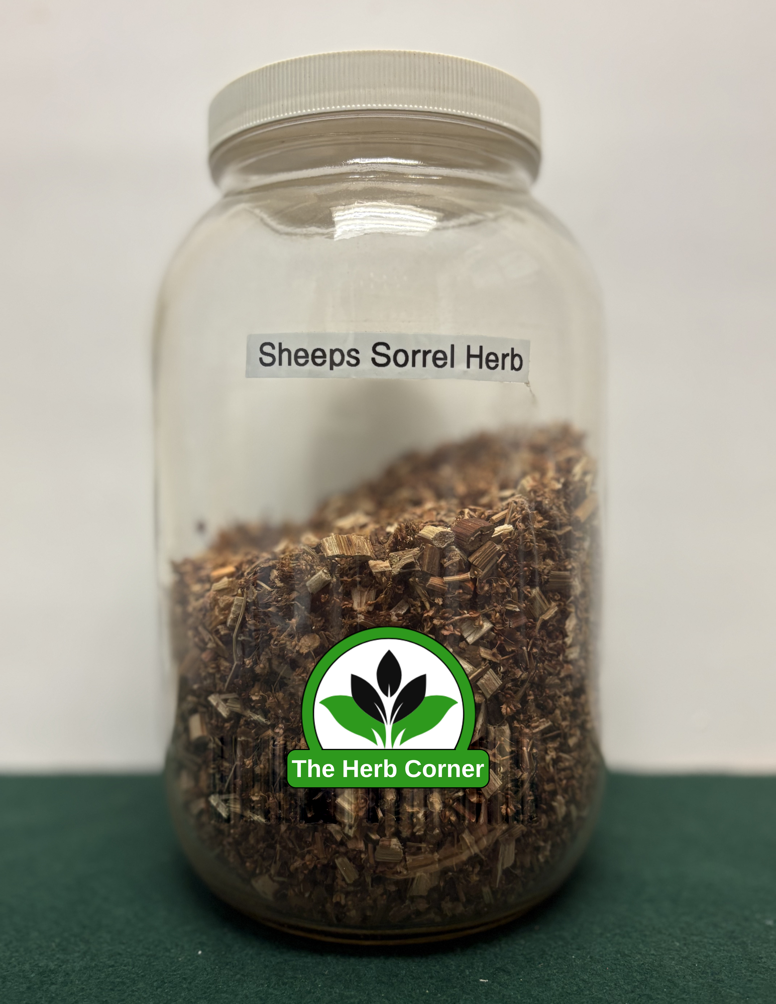 sheeps sorrel herb sheeps sorrel herb