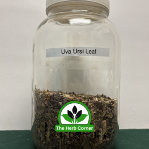 uva ursi leaf 1