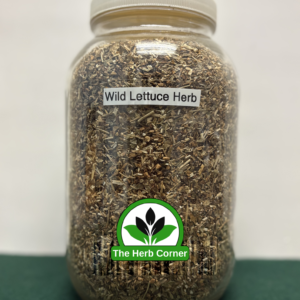 wild lettuce herb